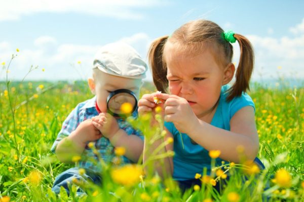 Children are playing on green meadow examining field flowers using magnifying glass